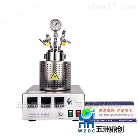 北京 磁力搅拌反应釜 小型高压反应仪