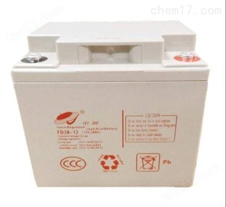 飞碟FEI DIE蓄电池（中国）有限公司