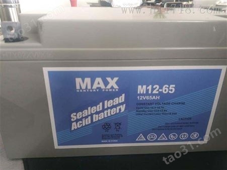 MAX蓄电池12V100AH规格参数
