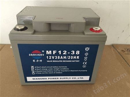 赛力特蓄电池MF100-12总代理商