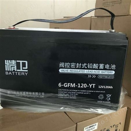 精卫蓄电池6-GFM-150-YT发电厂