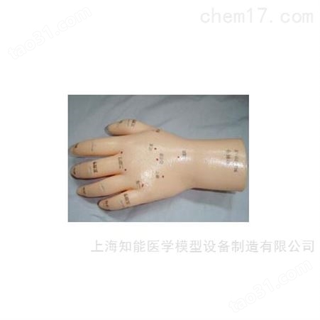 手保健针灸模型-手部针灸模型-手部穴位模型
