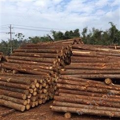 胜洁木业 驳岸杉木桩出售 杉木桩直径