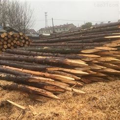 三米杉木桩 防汛杉木桩销售 胜洁木业