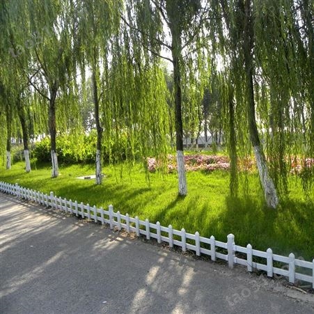 pvc塑钢护栏 栅栏 花园围栏 绿化花坛草坪护栏