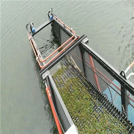 剿灭水葫芦 机械打捞船清理河道水生植物
