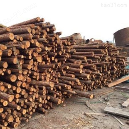 常州杉木桩护岸 苏州杉木桩尺寸 10米杉木桩批发
