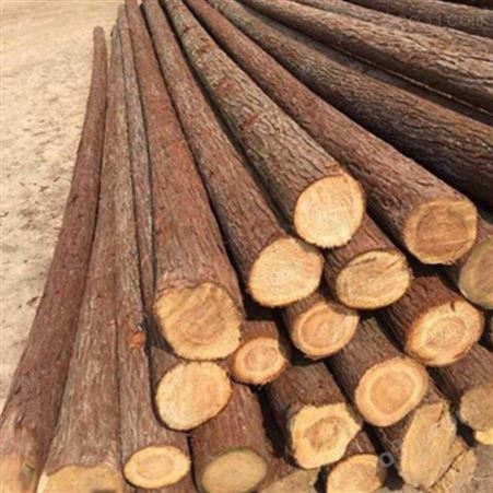 苏州杉木桩销售 10米杉木桩施工 胜洁木业