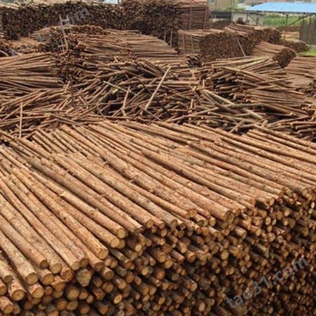 苏州杉木桩销售 10米杉木桩施工 胜洁木业
