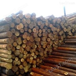 河道杉木桩直径 园林绿化杉木桩出售 胜洁木业