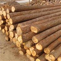 园林绿化杉木桩尺寸 绿化杉木桩直径 绿化杉木桩护岸
