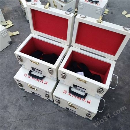 BTWY100防爆箱 手提式火工品箱 爆破施工器材携带箱 BTWY100