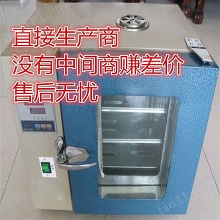 试验高温干燥箱-烘箱500度-电焊条烘箱烤箱试验箱-定做高温箱