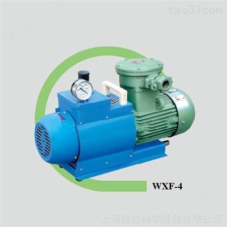 WXF-4型无油防爆真空泵 无油旋片真空泵 防爆电机 抽气4L/s 极限压力0.06mpa