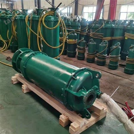 择众机械 工业用直立式潜水泵 防爆排污泵 流量大杨程远