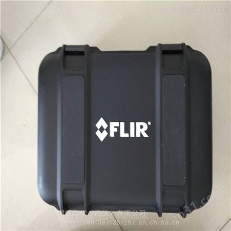 美国菲力尔FLIR K65红外热像仪 手持式消防用测温仪 坚固可靠